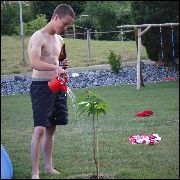 Image description