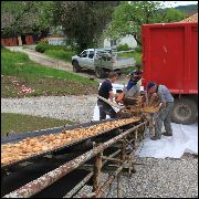 Image description