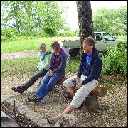 Image description